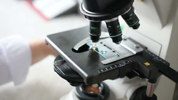 Μικροβιολογικό εργαστήριο, εργασία με μικροσκόπιο - Πλάνα, βίντεο
