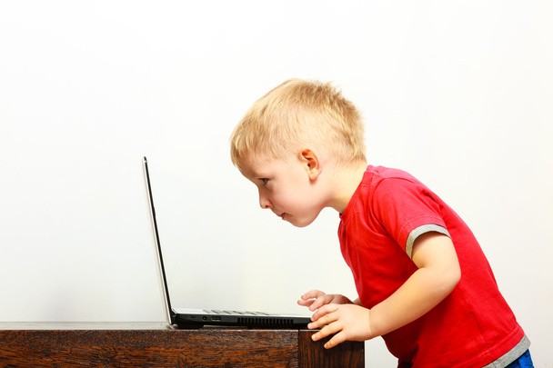 little boy using laptop pc computer at home - 写真・画像