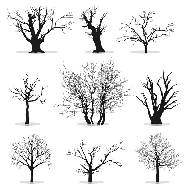 Ağaç siluetleri koleksiyonu - Vektör, Görsel