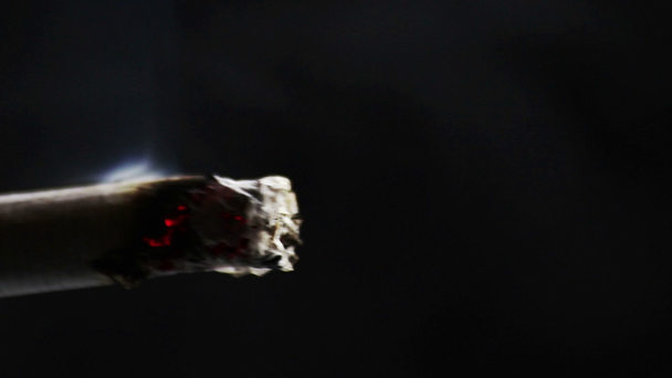 hombre enciende un cigarrillo con encendedor sobre fondo negro completa escena de humo, salud y abuso
 - Imágenes, Vídeo