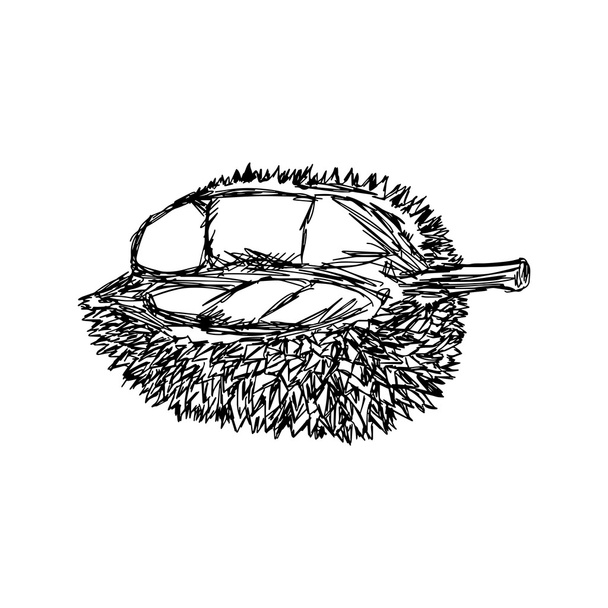 Векторные каракули, нарисованные на рисунке дуриана
. - Вектор,изображение