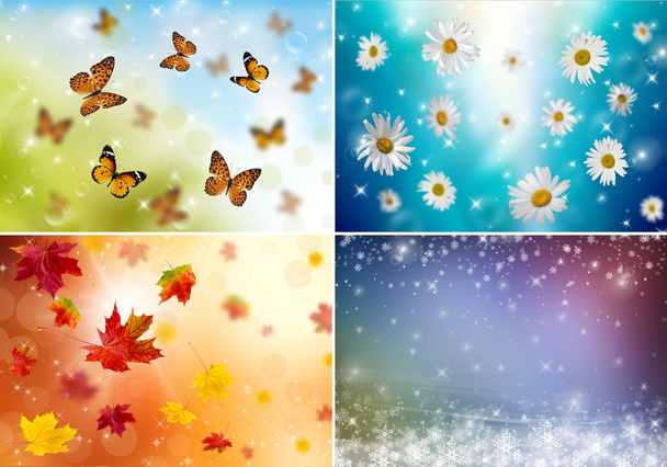 Collage van vier seizoenen - Foto, afbeelding