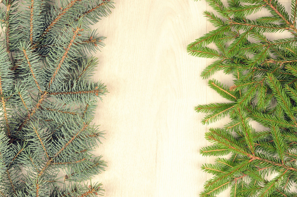 木製の背景の 2 つの品種のトウヒの枝 - 写真・画像