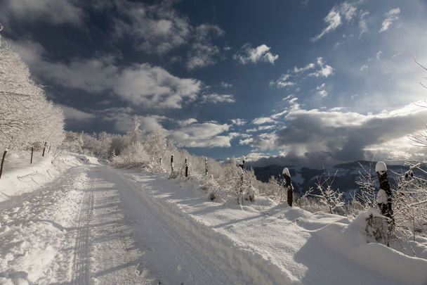 Inverno nas montanhas
 - Foto, Imagem