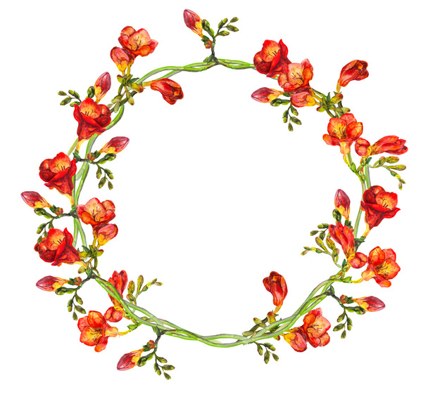 Red floral round wreath with hand painted red exotic flowers freesia - 写真・画像