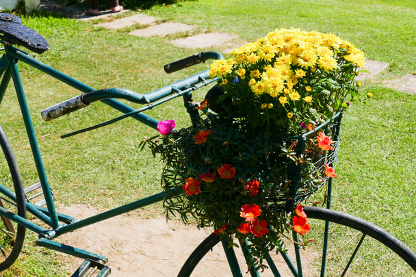 green bicycle with flower in the basket - Foto, afbeelding