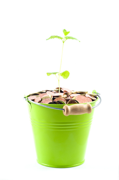 para ve bitki - Fotoğraf, Görsel