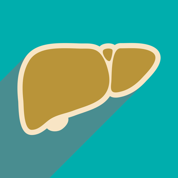 Icon of human liver in flat style - Vettoriali, immagini