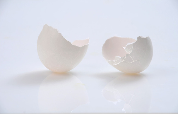 White Egg shell - Foto, imagen
