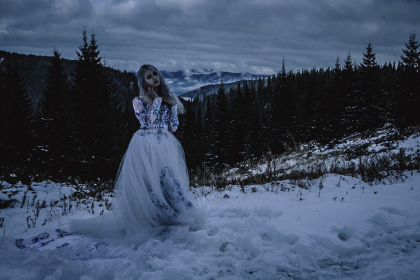 Beautiful bride in snow mountains - Foto, imagen
