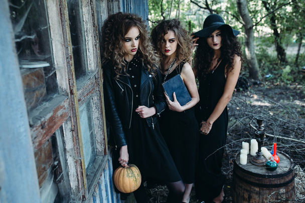 three  beautiful  witches - Photo, Image