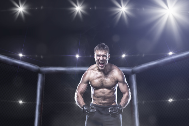ultimate mma fighter in a octagon cage - Photo, Image