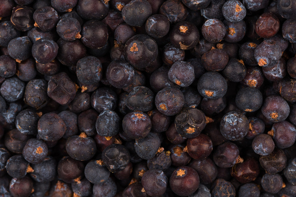 Dried black currant  - Фото, зображення