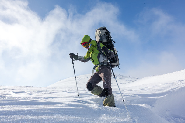 Hiker walking in winter Carpathian mountains - Фото, изображение