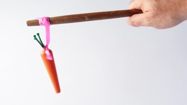 Homem mão oferecendo uma cenoura em um pau
 - Filmagem, Vídeo