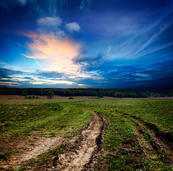 Countryside landscape with dirt road - Photo, Image