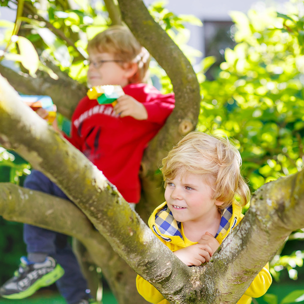 Due ragazzini attivi che si divertono ad arrampicarsi sull'albero
 - Foto, immagini