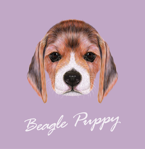 Beagle perro cara linda animal. Vector fawn British beagle cachorro cabeza retrato. Retrato realista de piel de perrito beagle marrón de pura raza aislado sobre fondo lila
. - Vector, imagen