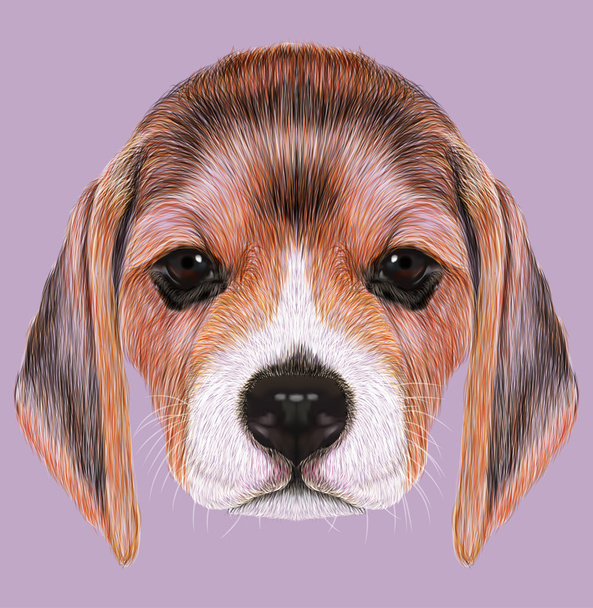 Beagle köpek resimli portresi - Fotoğraf, Görsel