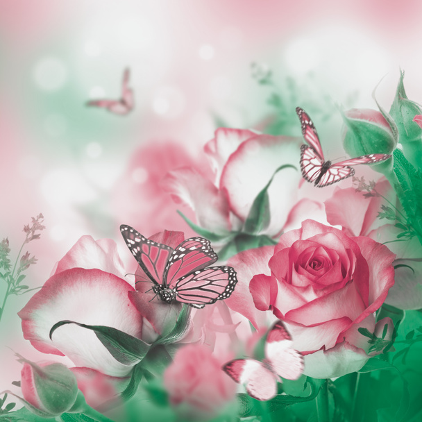 Beautiful roses and butterflies - Photo, Image