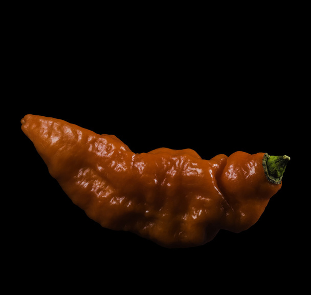 Red naga ghost pepper - Photo, Image