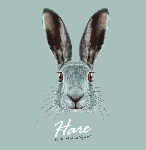 Hare or Rabbit wild animal cute face. Vector European hare, Lepus Europaeus funny bunny head portrait. Easter symbol. Realistic fur portrait of forest winter bunny animal isolated on blue background. - Vector, Image