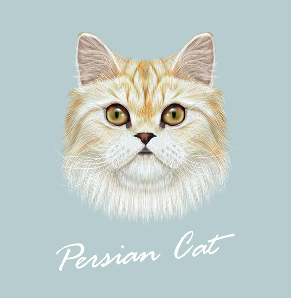 Persian cat purebred animal cute face. Vector funny white tabby vanilla cat head portrait. Realistic fur portrait of green eyes white Persian kitten isolated on blue background. - Vector, Image