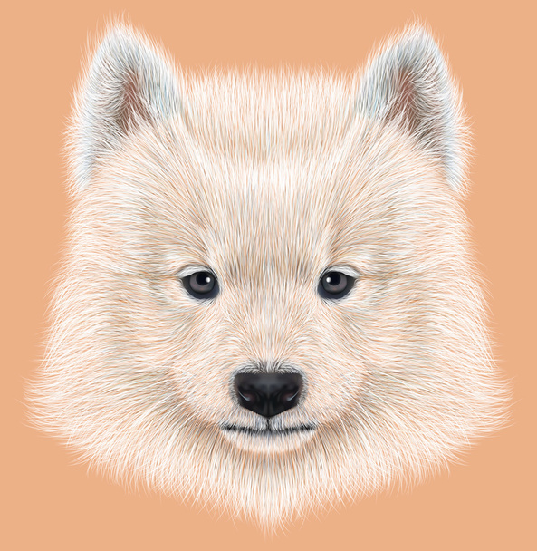 Kuvitteellinen muotokuva Samoyed koira
.  - Valokuva, kuva