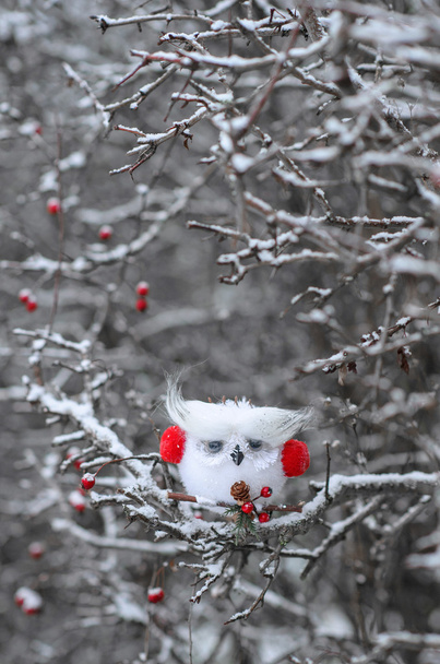 Белая рождественская сова с красными наушниками
 - Фото, изображение