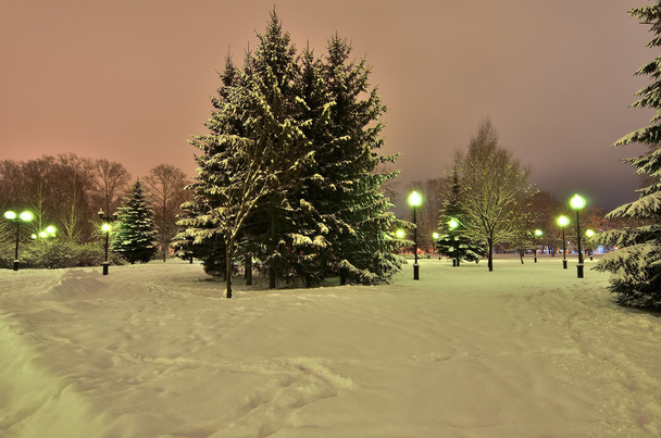 Романтическая прогулка в зимнем парке ночью
. - Фото, изображение