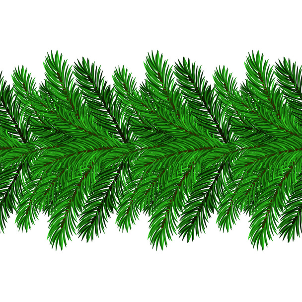 пихта зеленая
 - Вектор,изображение