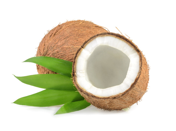 coconut isolated on white background - Photo, Image