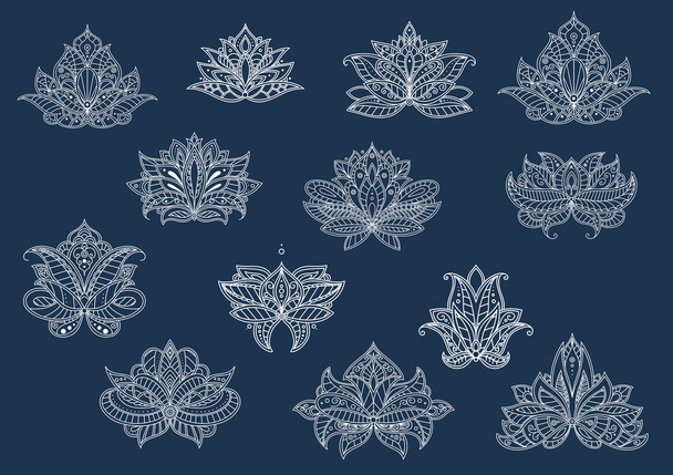 Isolated paisley flowers set in outline style - Wektor, obraz