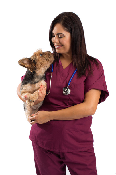 Female veterinarian with dog - Fotoğraf, Görsel