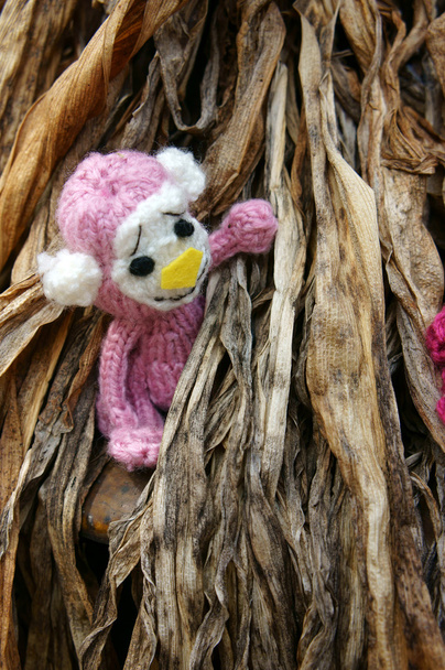 macaco, símbolo, feito à mão, brinquedo de malha
 - Foto, Imagem