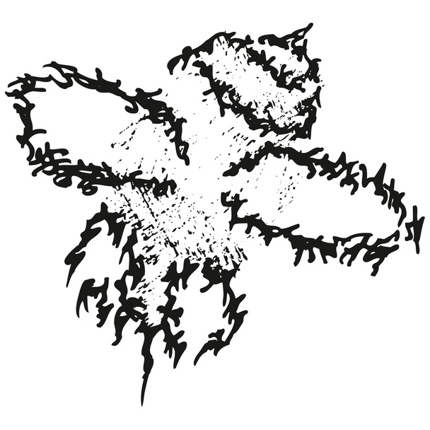Abstract stylized B&W fly or bee - Vector, Image