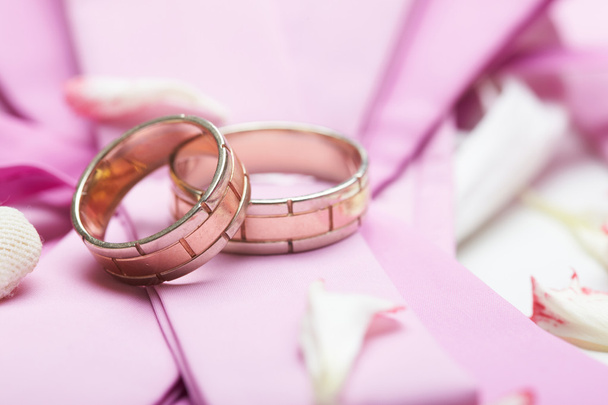 anillos de oro y pétalos de rosa
 - Foto, Imagen