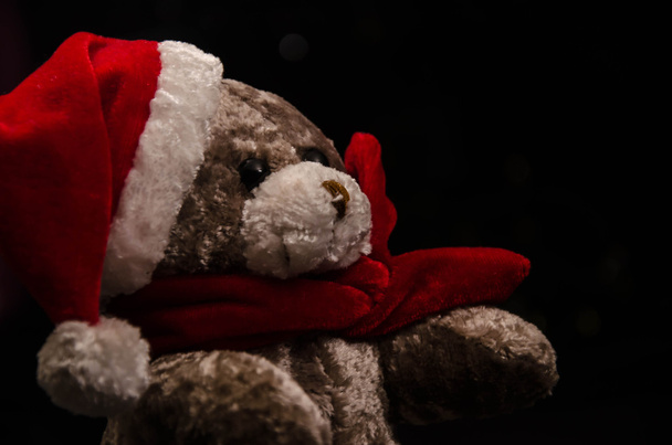Natale orsacchiotto gioco giocattolo luce
 - Foto, immagini