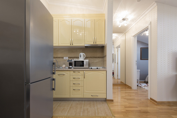 Modern apartment interior with kitchen - 写真・画像