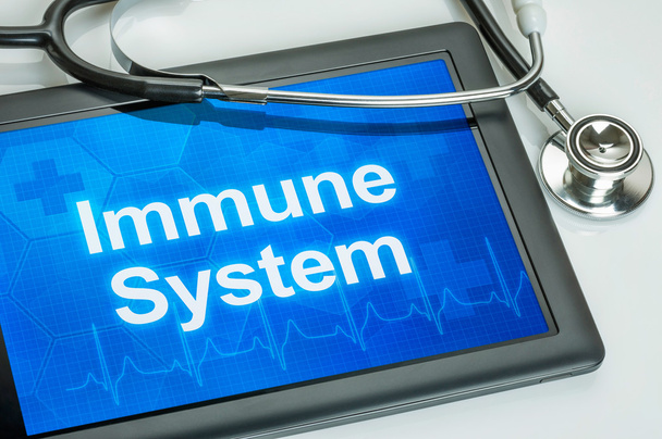 Tablet mit dem Text Immunsystem auf dem Display - Foto, Bild