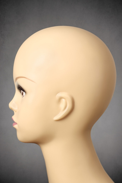 Vista lateral de uma cabeça de manequim feminino
 - Foto, Imagem