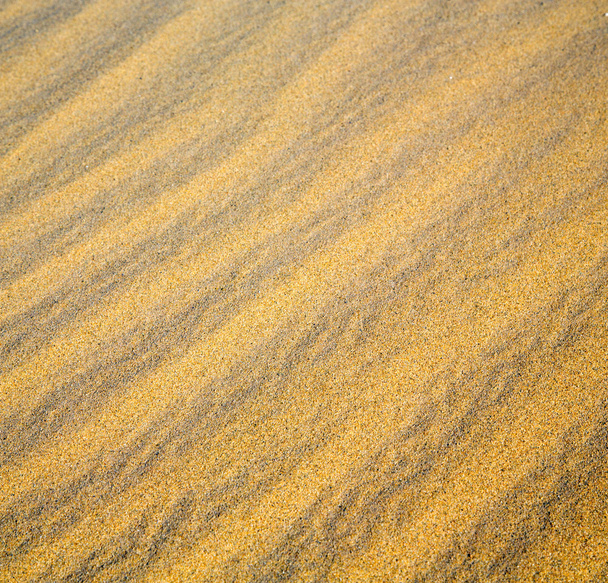 afrika die braune sanddüne in sahara marokko wüstenlinie - Foto, Bild