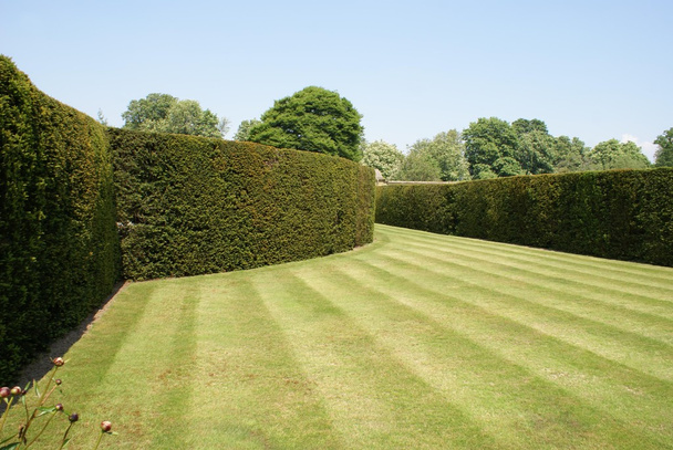 Jardín del castillo Hever
 - Foto, Imagen