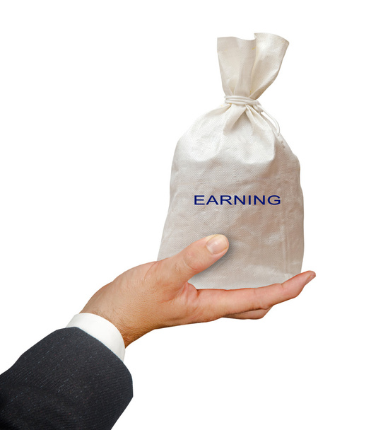 Bag with earning - Photo, Image