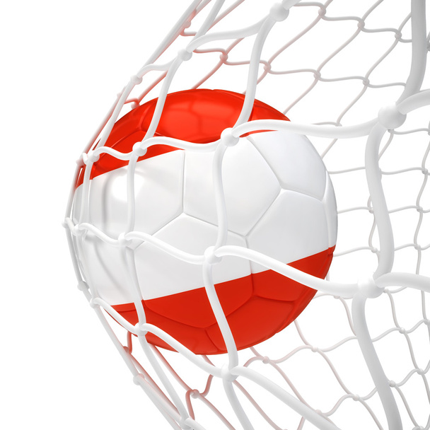 Austrian soccer ball inside the net - Фото, зображення
