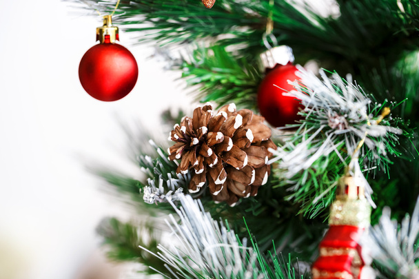 Christmas holiday fir tree - Photo, Image