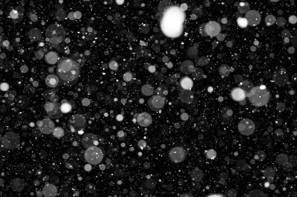Falling Snow Background - 写真・画像