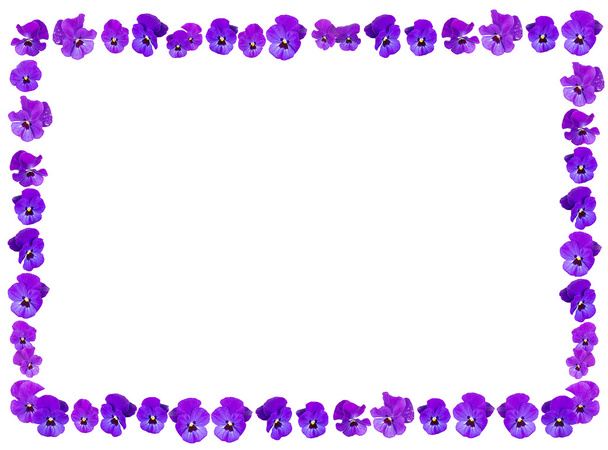 Violet paarse bloem achtergrond frame - Foto, afbeelding