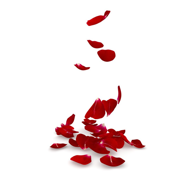 床に飛んで花びら暗い赤いバラ - 写真・画像