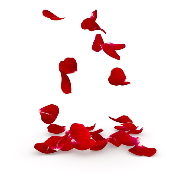 Płatki ciemno czerwona róża pływające na podłodze - Zdjęcie, obraz